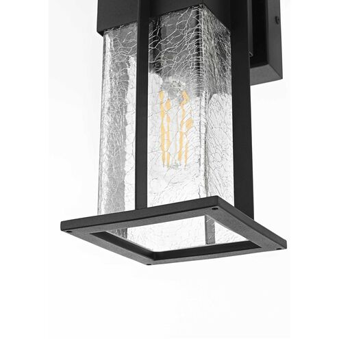 Janney 1 Light 11.5 inch Black Outdoor Wall Sconce
