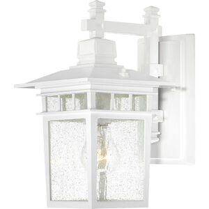 Cove Neck 1 Light 12 inch White Outdoor Wall Light