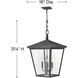 Heritage Trellis 4 Light 16 inch Aged Zinc Outdoor Hanging Lantern