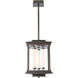 Athena LED 12.1 inch Dark Smoke Pendant Lantern Ceiling Light