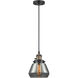 Franklin Restoration Fulton 1 Light 7 inch Black Antique Brass Mini Pendant Ceiling Light in Incandescent, Plated Smoke