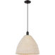 Downtown Urban Natural Ballston Dome 1 Light 15.75 inch Matte Black Mini Pendant Ceiling Light
