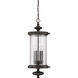Palmer 4 Light 12.5 inch Walnut Patina Outdoor Hanging Lantern