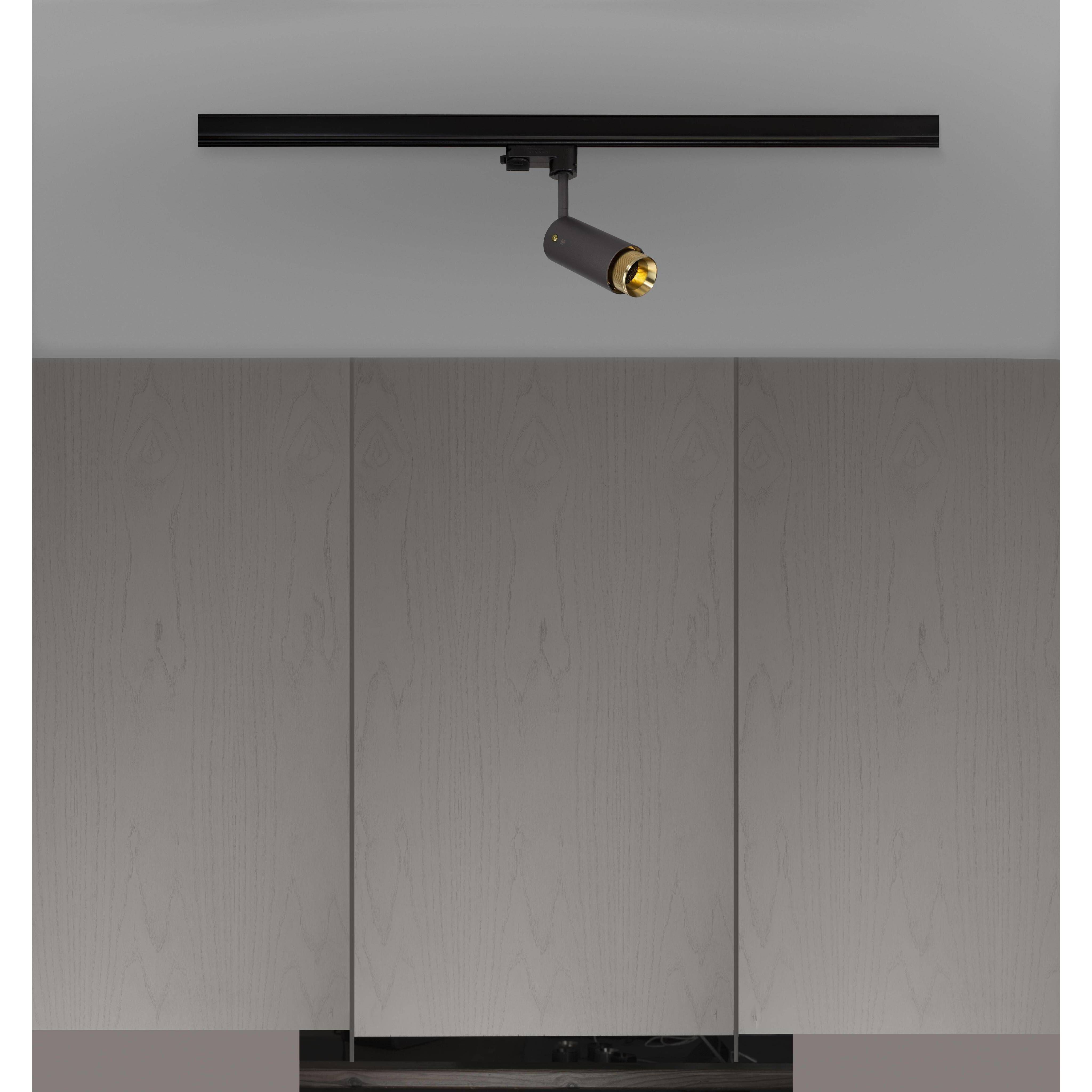 Exhaust Track 1 Light 110-120 Graphite / Brass Spotlight Ceiling Light