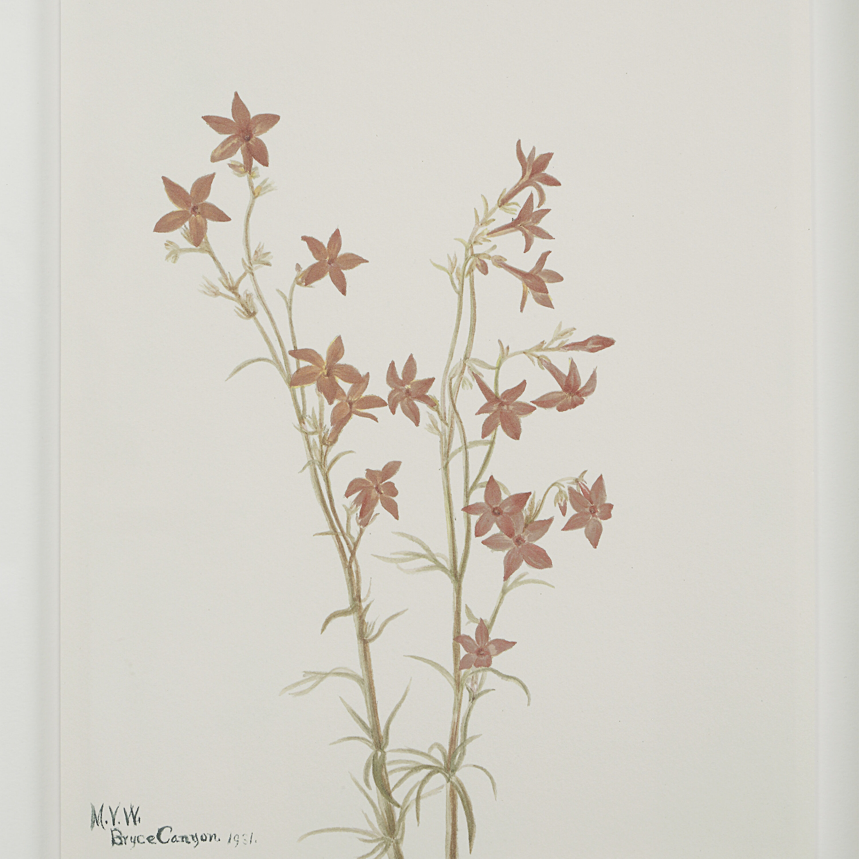 Crema 15 X 13.25 inch Printed Artworks, Set of 9