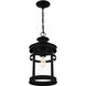 Scout 1 Light 10 inch Matte Black Mini Pendant Ceiling Light, Small