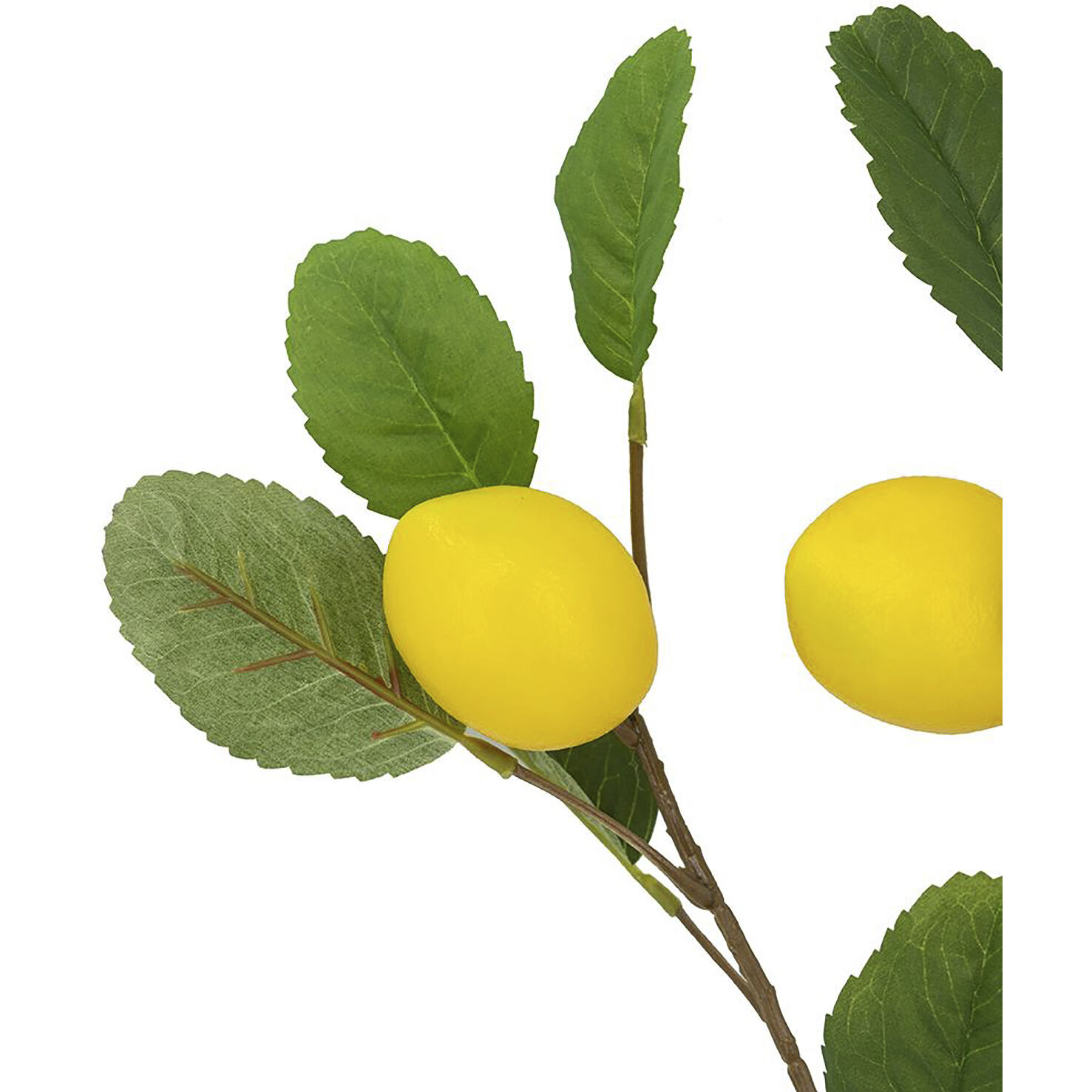 Lemon Spray Green and Yellow Botanical