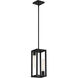 Urban Oasis 2 Light 7 inch Matte Black Pendant Ceiling Light