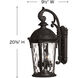 Estate Series Windsor LED 21 inch Black Outdoor Wall Mount Lantern, Small