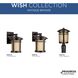 Wish 1 Light 15 inch Antique Bronze Outdoor Post Lantern in Standard