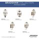 Bradshaw 1 Light 12 inch Antique Copper Outdoor Hanging Lantern, Design Series