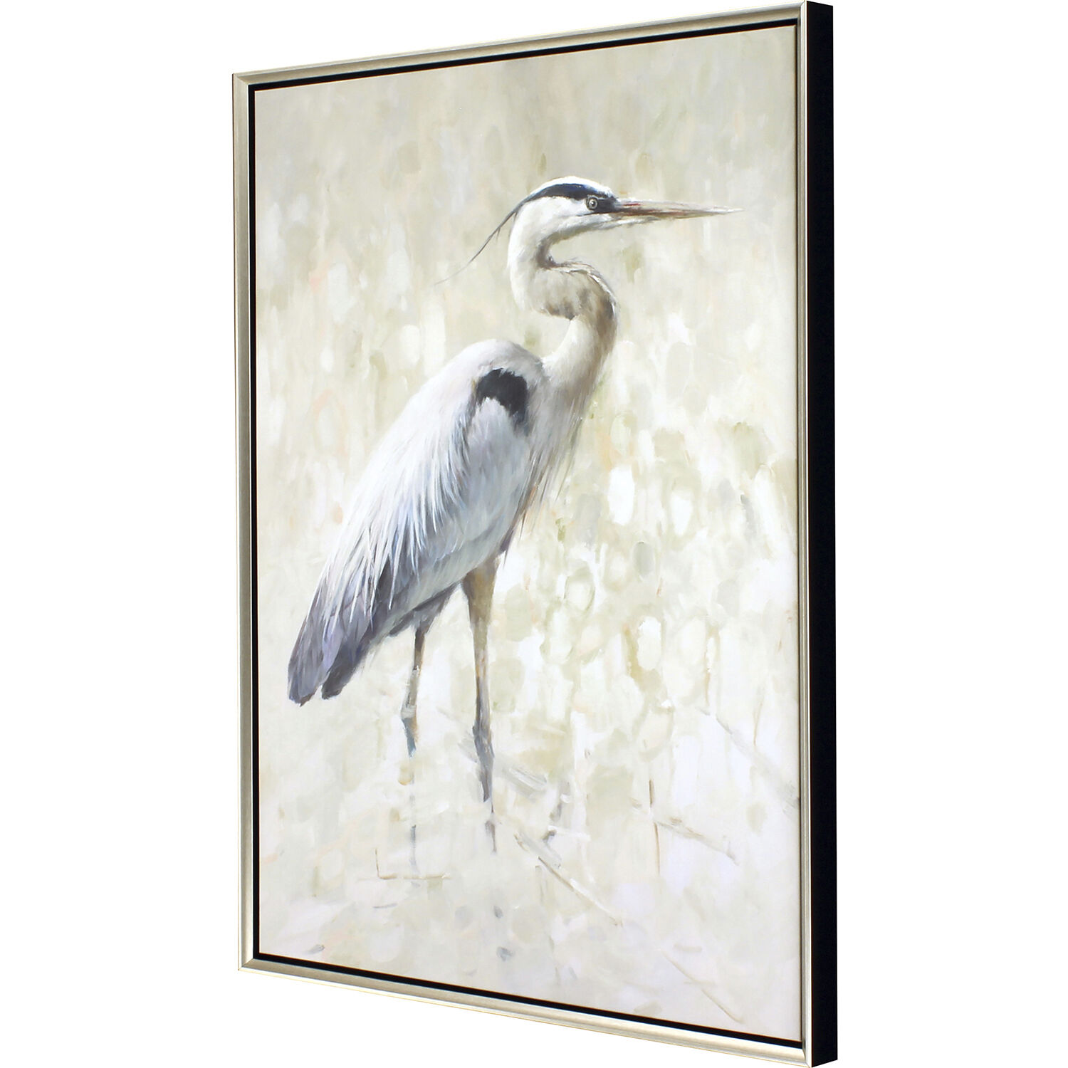Great Blue Heron White Canvas