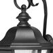 Estate Series Edgewater Outdoor Wall Mount Lantern in Black, Non-LED