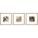 Geometrics Collection Brown Framed Art