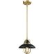 Peggy's Cove 1 Light Graphite and Venetian Brass Mini-pendant Ceiling Light