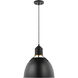 TOB by Thomas O'Brien Huey 1 Light 15 inch Midnight Black Pendant Ceiling Light