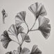 Ginkgo Botanic Ivory with Black and Clear Framed Wall Art