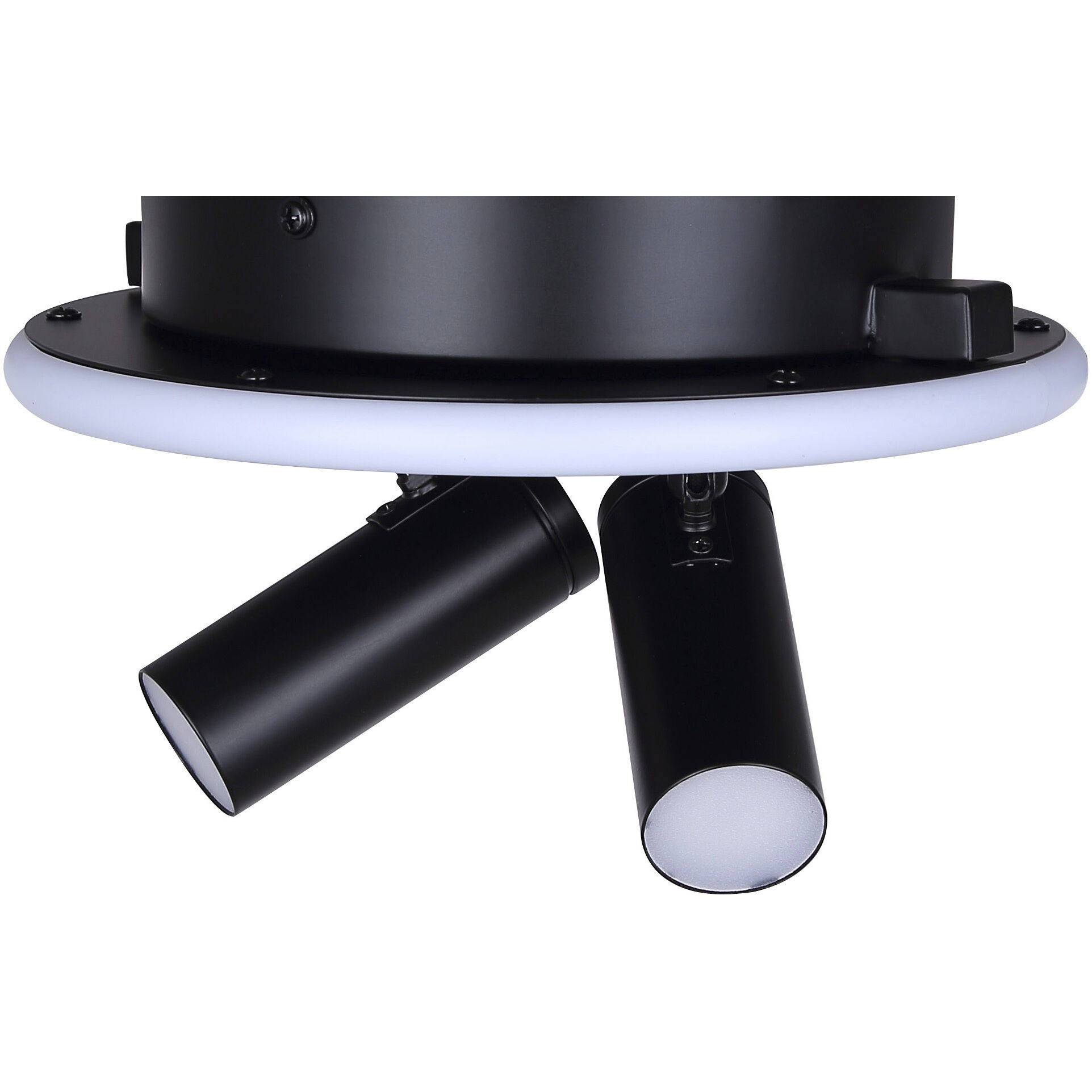 Denver Black Track Lighting Ceiling Light