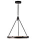 Duo LED 23.63 inch Classic Black and Silver Shimmer Pendant Ceiling Light