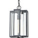 Bianca 1 Light 8 inch Aged Zinc Outdoor Pendant