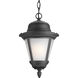 Westport 1 Light 9 inch Black Outdoor Hanging Lantern in Bulbs Included, Etched Seeded