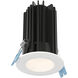 RGR Black Directional Recessed Light