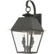 Wentworth 2 Light 9 inch Charcoal Outdoor Medium Wall Lantern Wall Light, Medium