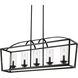 Mercer Island Light Ceiling Light in Clear Glass, Matte Black/Matte Black