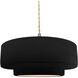 Radiance LED 14.5 inch Carbon Matte Black and Brushed Nickel Pendant Ceiling Light