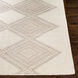 Mardin 66 X 42 inch Light Grey Rug in 4 X 6, Rectangle