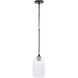 Council 1 Light 7 inch Flat Black/Satin Brass Pendant Ceiling Light in Clear Swirl Textured Glass