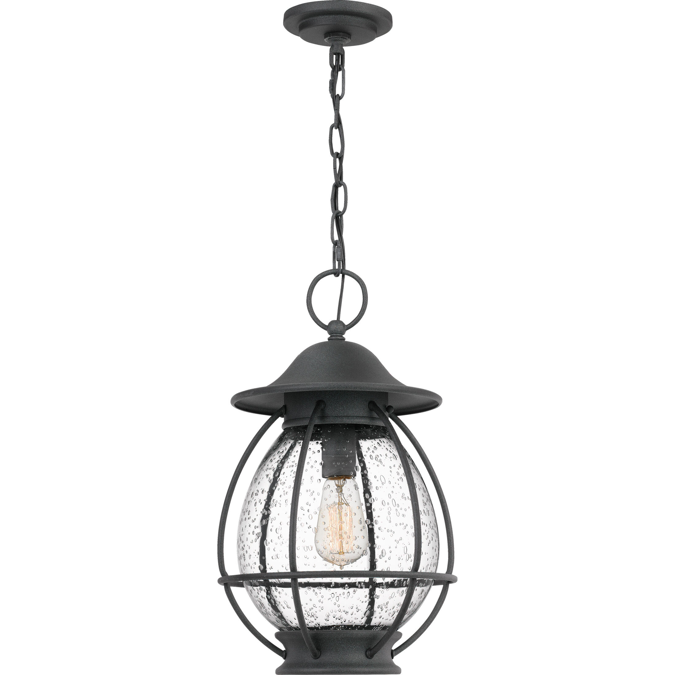 Boston 1 Light 10.5 inch Mottled Black Outdoor Hanging Lantern