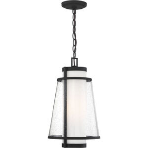 Anau 1 Light 10.5 inch Matte Black and Glass Outdoor Hanging Lantern