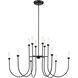 Moraine LED Black Chandelier Ceiling Light