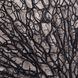 Cameron Black and Cream Wall Art
