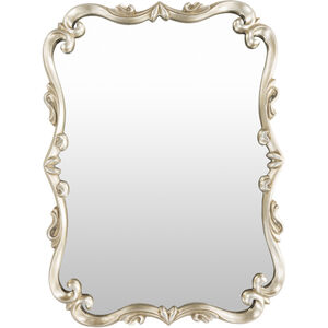 Kimball 40.5 X 30.5 inch Champagne Mirror, Rectangle