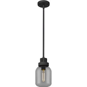 Somers 1 Light 5.5 inch Textured Black Pendant Ceiling Light in Plated Smoke Glass