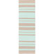 Picnic 96 X 30 inch Mint, Taupe Rug
