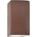 Ambiance 1 Light 13.5 inch Canyon Clay Outdoor Wall Sconce in Incandescent