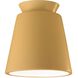 Radiance 1 Light 7.5 inch Muted Yellow Flush Mount Ceiling Light