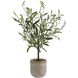 Solea Olive Neutral Tan and Green Accent & Vase