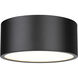Harley 2 Light 12 inch Matte Black Flush Mount Ceiling Light