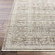 Margaret 94.49 X 62.99 inch Taupe/Charcoal/Dark Brown/Gray Machine Woven Rug in 5.25 x 8