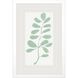 Florals Collection Block Profile Matted White Framed Art