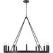 Dutton 12 Light 42.5 inch Coal Black Chandelier Ceiling Light