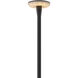 Calie 12v 2.1 watt Black Path Light