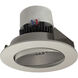 Pearl Haze/White Cone Regress Adjustable Trim, Retrofit Round