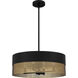 Alani 4 Light 20 inch Matte Black Pendant Ceiling Light
