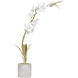 Thylane 23 X 16 inch Sculpture, 1