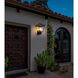 Gaul 1 Light 15 inch Black Outdoor Wall Sconce